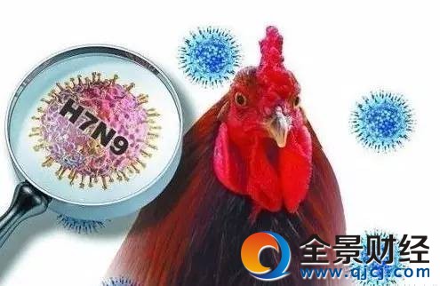 猪禽流感最新消息2017概况